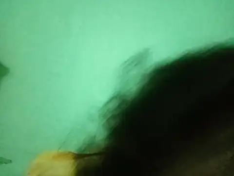 Tujo_islam live sex cam