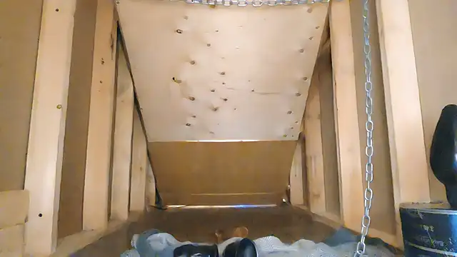 cbtbetaloser live sex cam