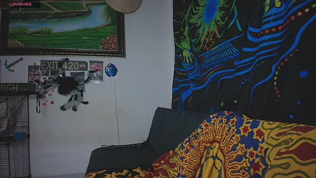 devil_fts live sex cam