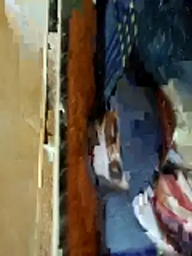 Nehaja33e's cam snapshot