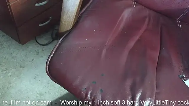 hairyandtiny's cam snapshot