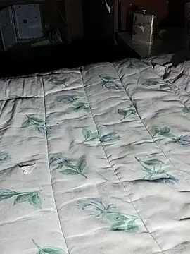 20cmloiro's cam snapshot