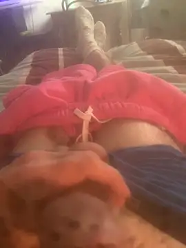 solomec's cam snapshot