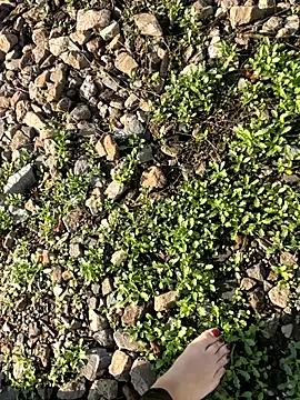 beautydiamond live sex cam