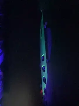 gurlnips live sex cam