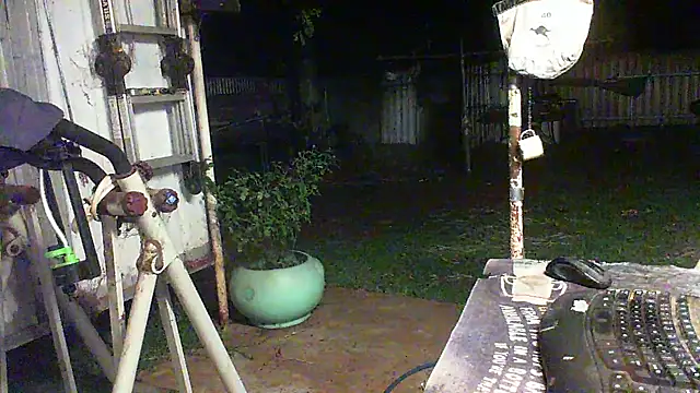 herbie010666 live sex cam