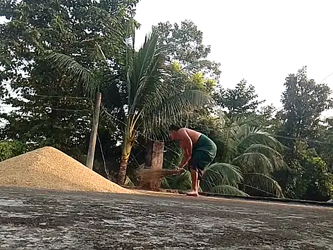 CatchingBouquet live sex cam