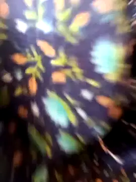 Juhi_chawla live sex cam