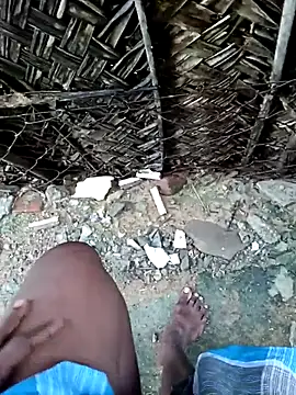 dolphiinn's cam snapshot