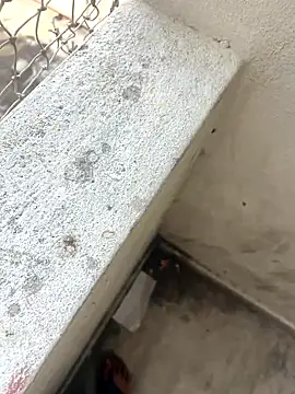 hyderabadii_boi's cam snapshot