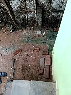 dolphiinn live sex cam