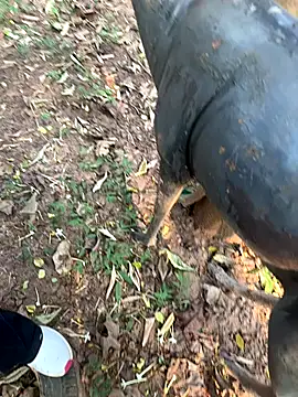 pimange34 live sex cam