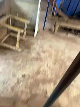 Black-mamba-madingo live sex cam