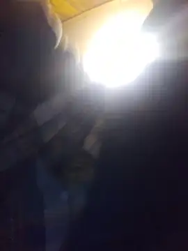 zaneporter46 live sex cam