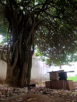 Lucasjandre live sex cam