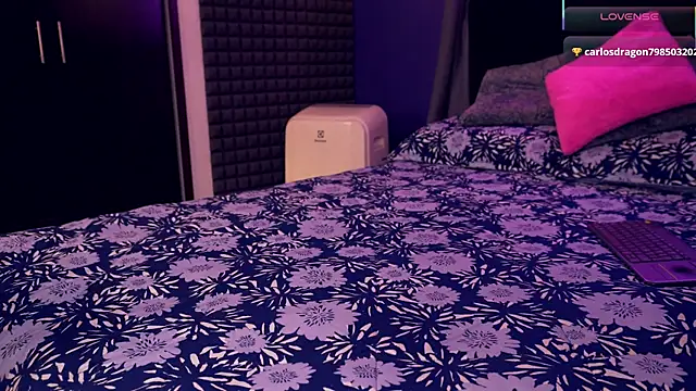 bull_vixen2001 live sex cam