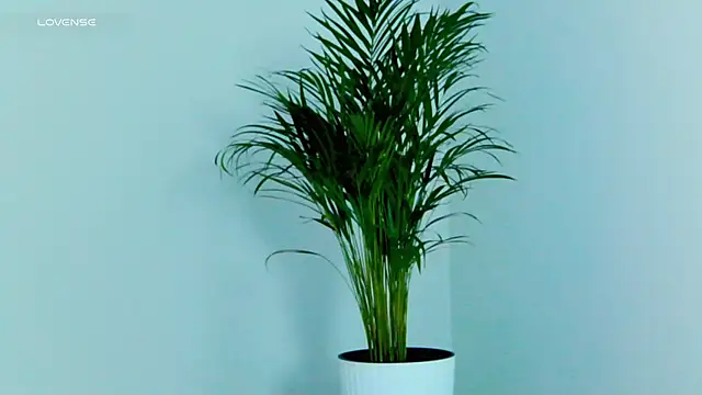 Miss_Magic_Eyes_ live sex cam