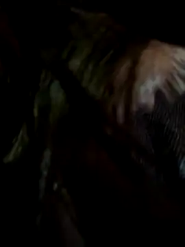 bingmeiren_missy's cam snapshot