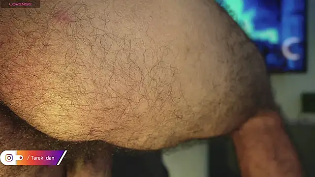tarek_dan live sex cam