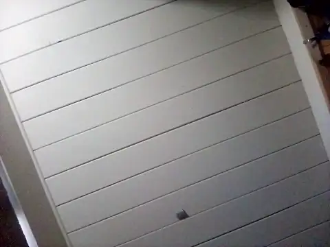 Scaeface01 live sex cam