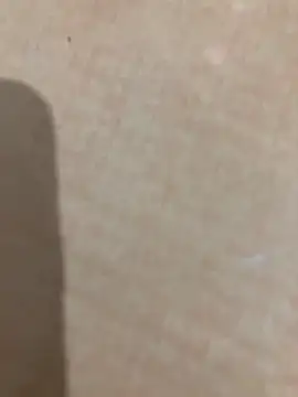 zackdelfon's cam snapshot