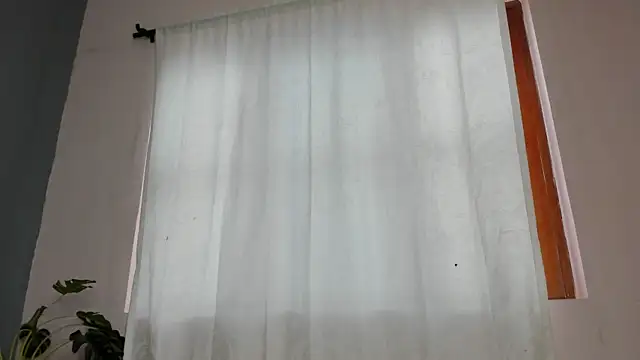 camillo_virgil live sex cam