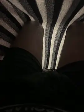 deshi_boybig's cam snapshot