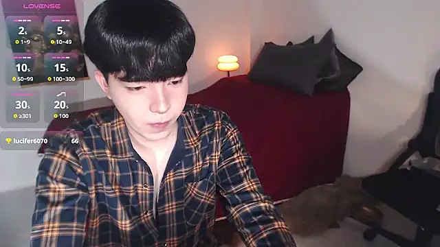 VirtualThaiBoy's web cam