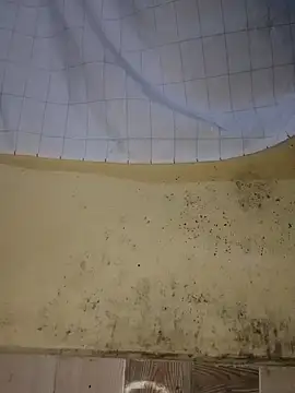 Yallabik's cam snapshot