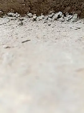 Rajni_chauhan live sex cam