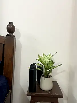 Indiancpl01 live sex cam