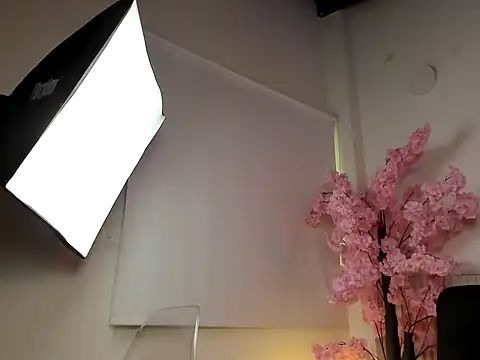 Nicole_diaz7's cam snapshot