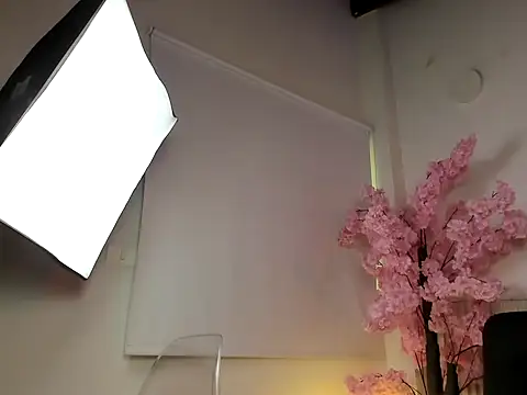 Nicole_diaz7's cam snapshot