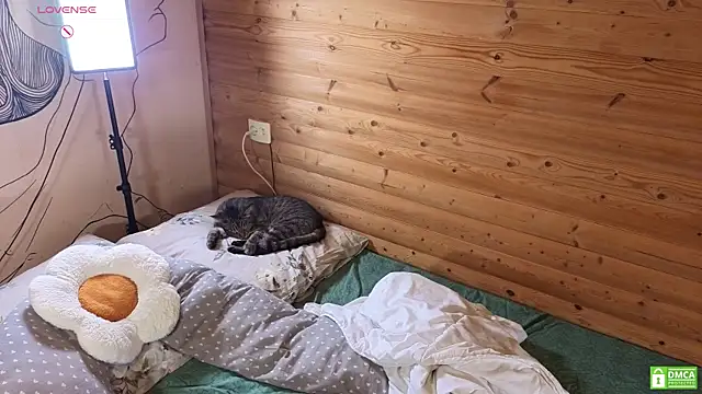 emiliyafox_ live sex cam