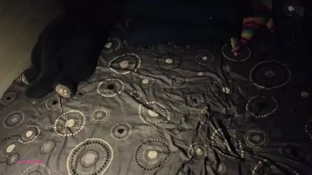 Big19Asia live sex cam