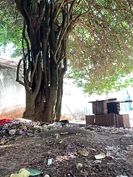 Lucasjandre live sex cam