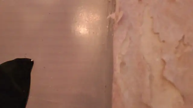 saraa_sm's cam snapshot