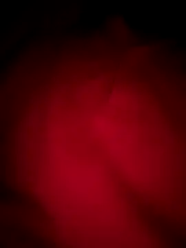 Gigolopune202's web cam