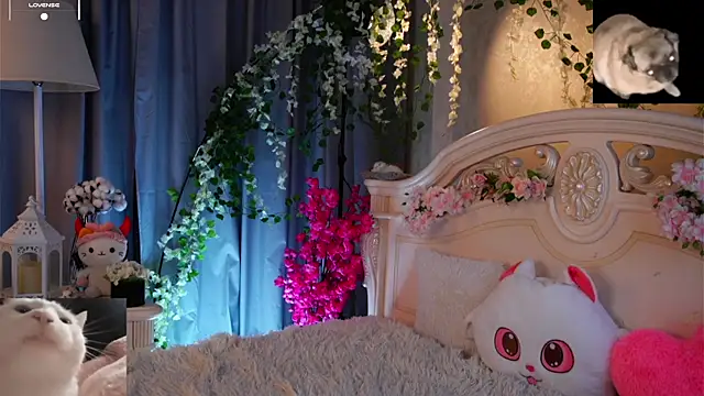 EdlinAlliston live sex cam