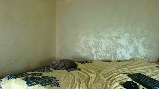 angeliquevany live sex cam