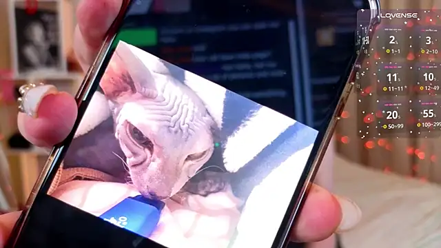 PollyVinice live sex cam