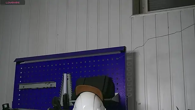 dustyn_fox live sex cam