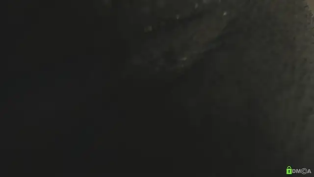 Courtney_Luv live sex cam