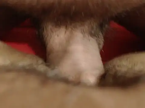 lolamike19 live sex cam