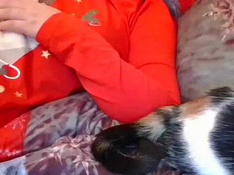 RealLittleRedRidingHood's cam snapshot