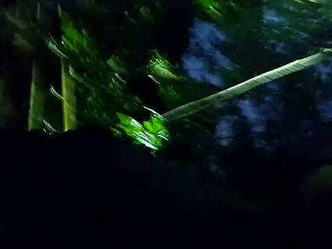 _TOMOE's cam snapshot