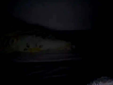 seksowny1990 live sex cam