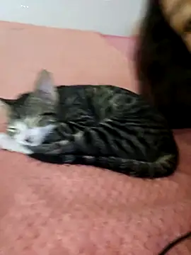 Selena_blake's cam snapshot