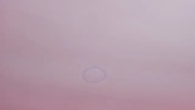 SusanAdams1 live sex cam