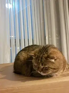 karina_warthon live sex cam